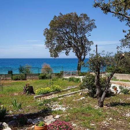 Semesterbostad Beach House Wild Paradise *