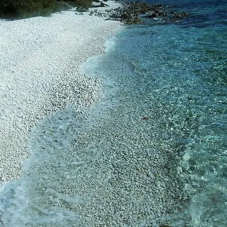Beach House Wild Paradise *