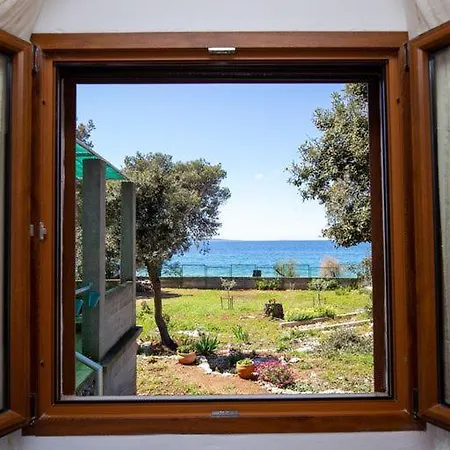 Beach House Wild Paradise